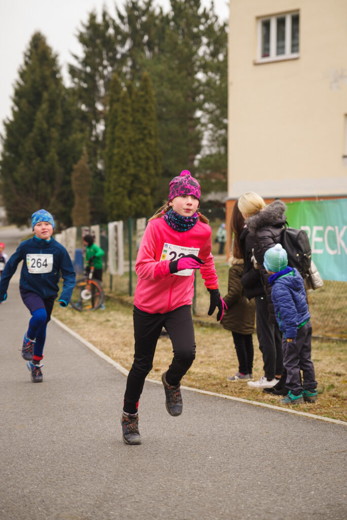 vozice_22_091