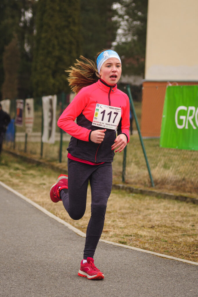 vozice_22_100