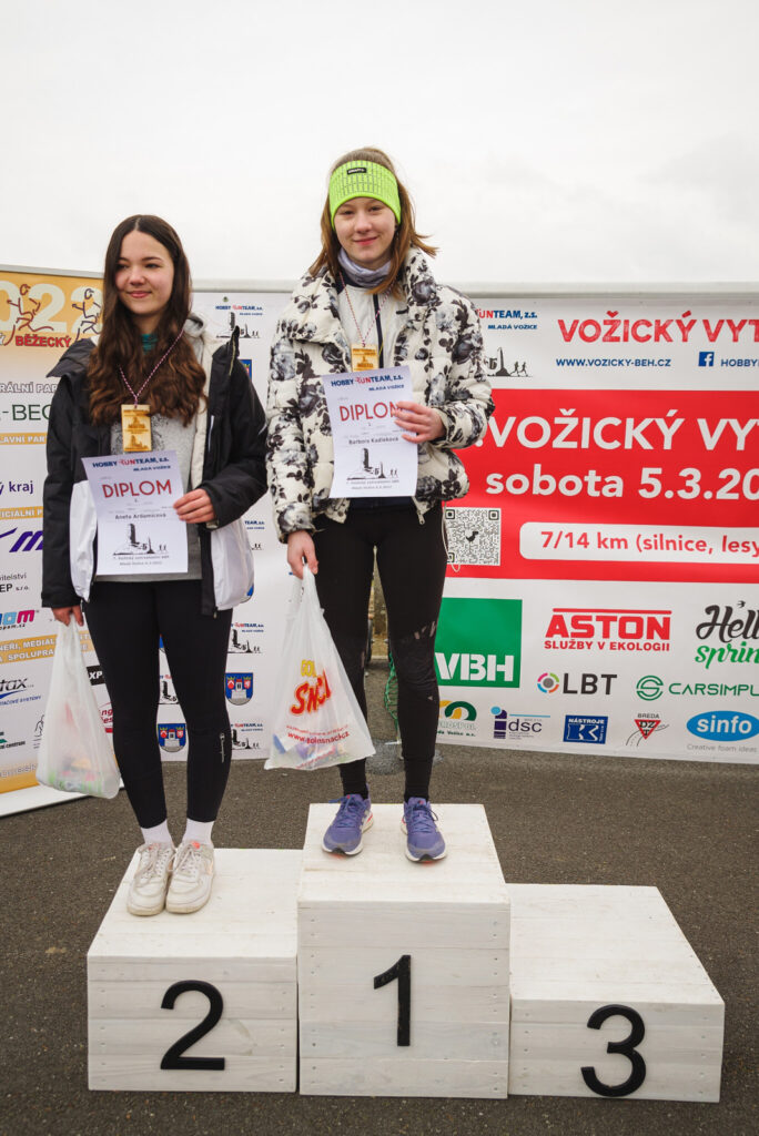 vozice_22_171