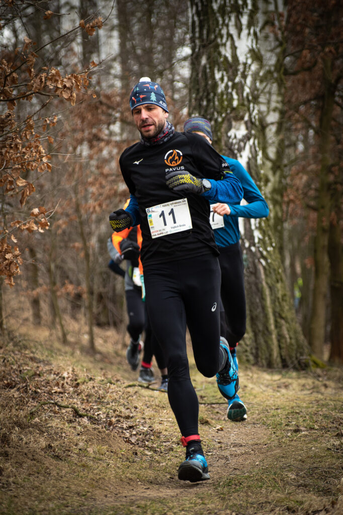 vozice_22_241