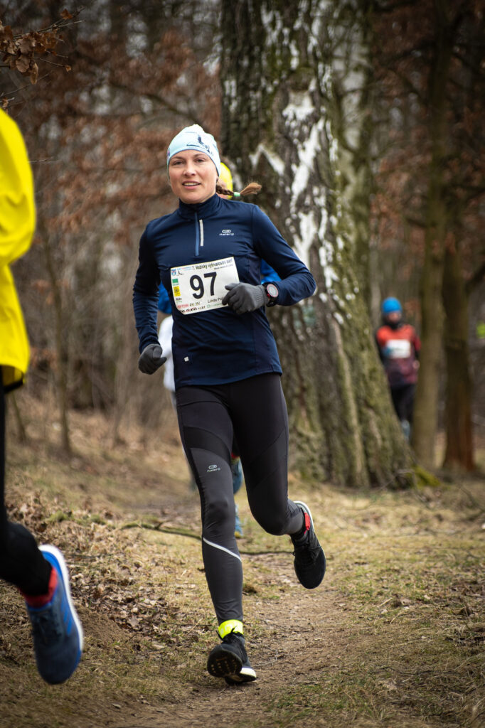 vozice_22_262