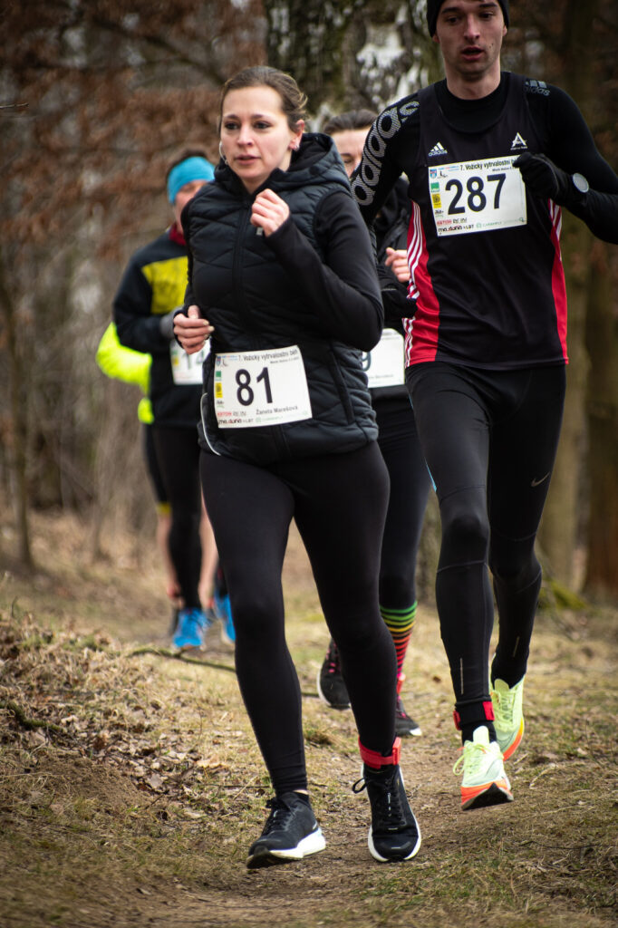 vozice_22_300