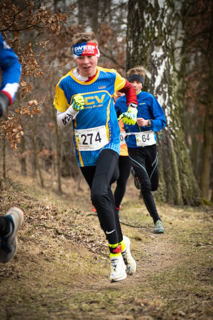 vozice_22_311