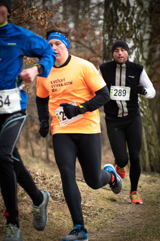 vozice_22_313