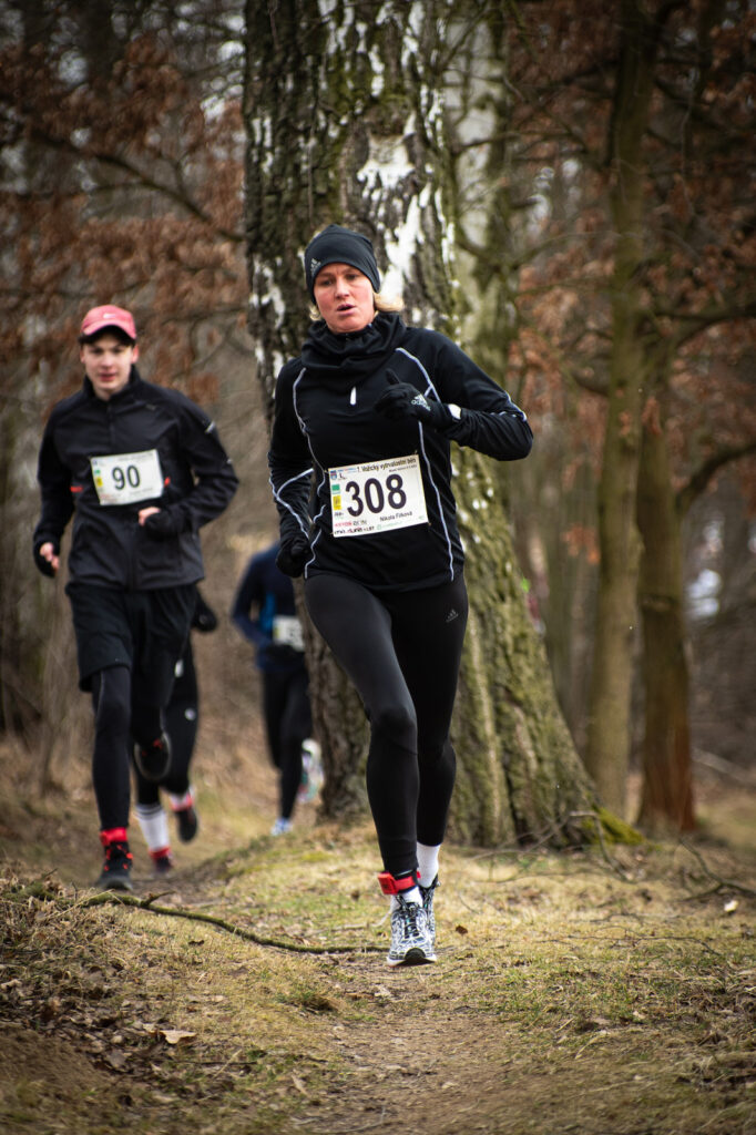 vozice_22_320