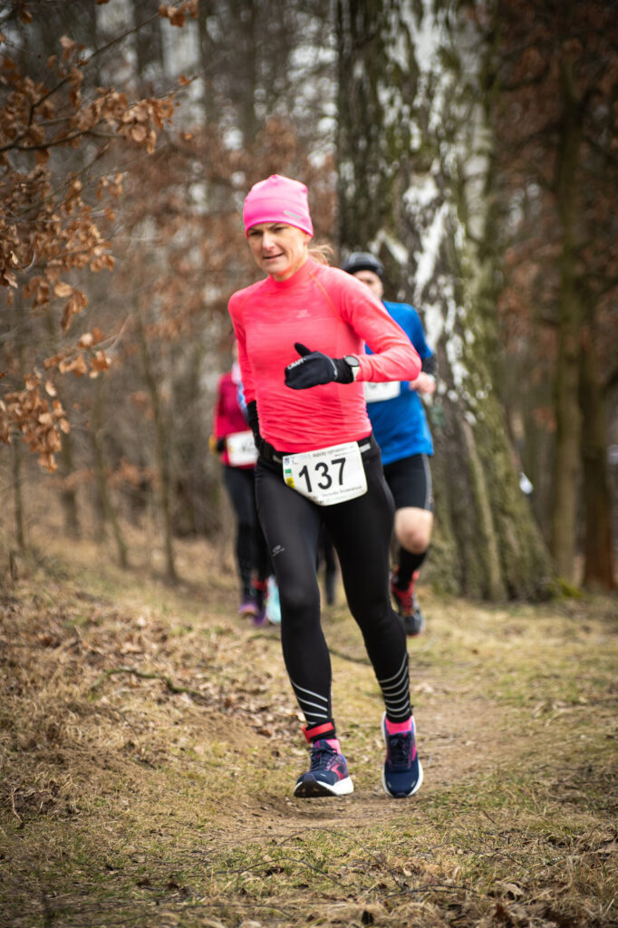 vozice_22_330