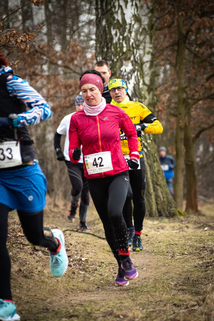 vozice_22_333