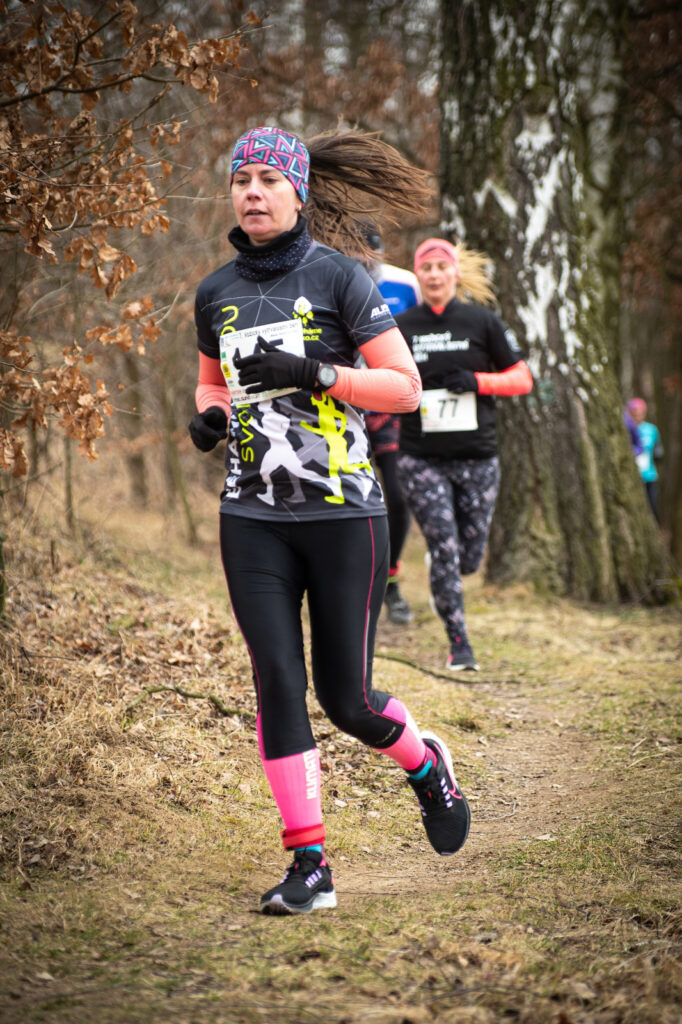 vozice_22_381
