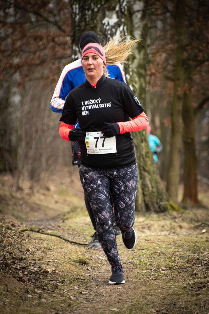 vozice_22_382