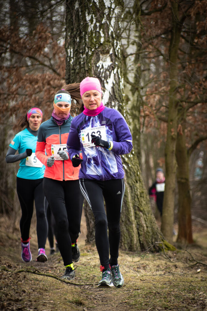 vozice_22_384