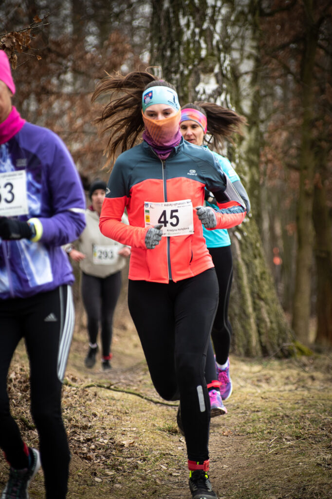 vozice_22_386